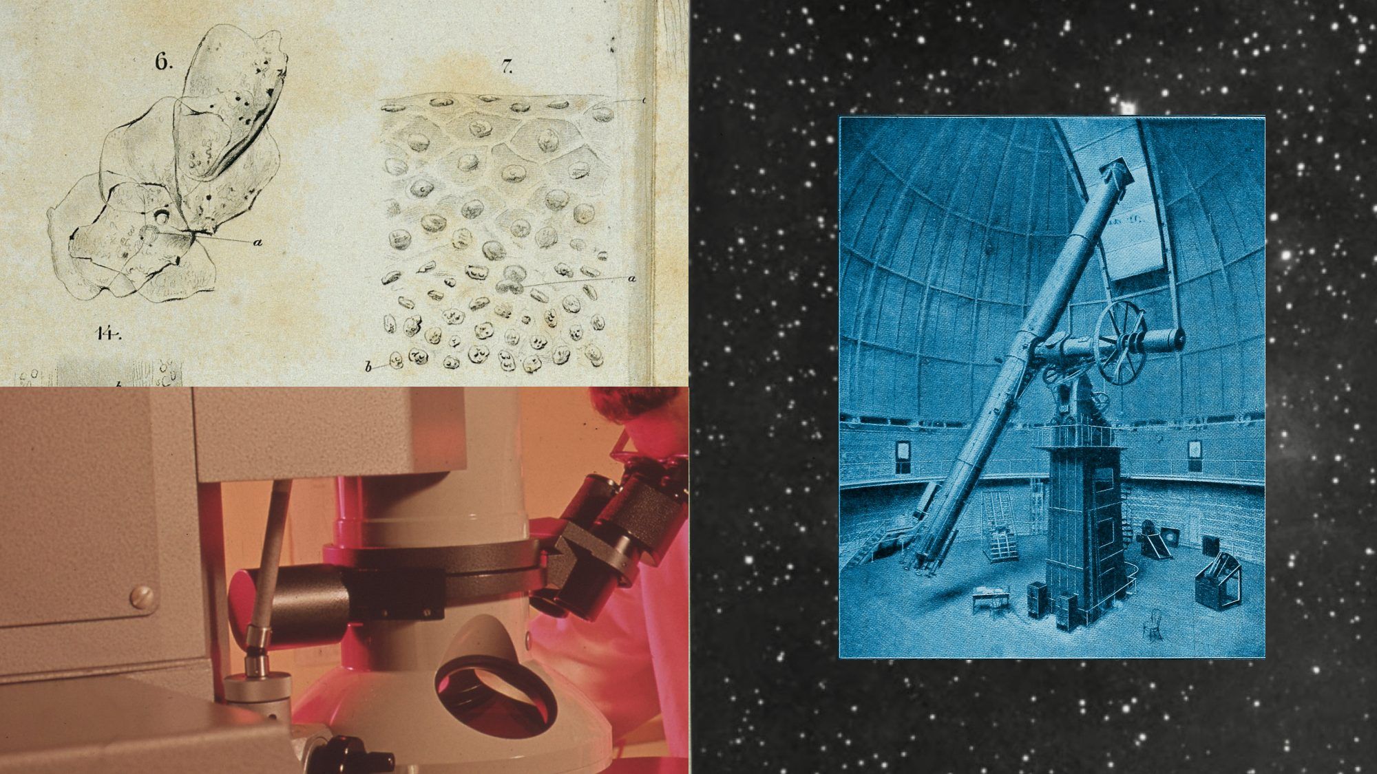 A collage of science imagery: old microscope drawings of tissue, a researcher at a microscope, and a vintage observatory telescope against a star field